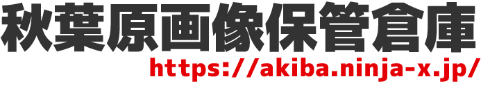 akiba.ninja-x.jp